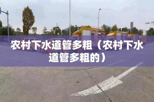 农村下水道管多粗（农村下水道管多粗的）
