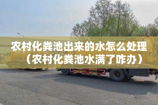 农村化粪池出来的水怎么处理（农村化粪池水满了咋办）
