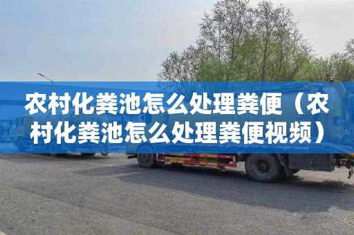 农村化粪池怎么处理粪便（农村化粪池怎么处理粪便视频）