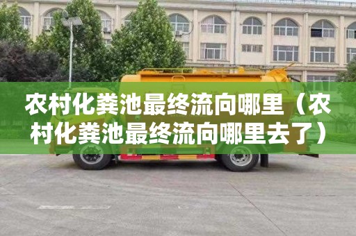 农村化粪池最终流向哪里（农村化粪池最终流向哪里去了）