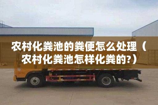 农村化粪池的粪便怎么处理（农村化粪池怎样化粪的?）