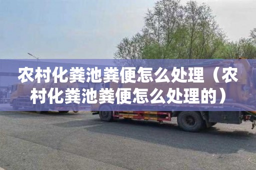 农村化粪池粪便怎么处理（农村化粪池粪便怎么处理的）