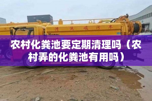 农村化粪池要定期清理吗（农村弄的化粪池有用吗）