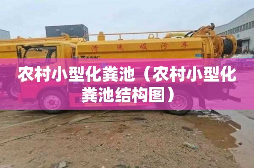 农村小型化粪池（农村小型化粪池结构图）