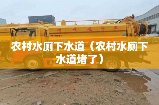 农村水厕下水道（农村水厕下水道堵了）
