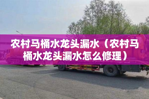 农村马桶水龙头漏水（农村马桶水龙头漏水怎么修理）