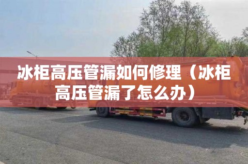 冰柜高压管漏如何修理（冰柜高压管漏了怎么办）