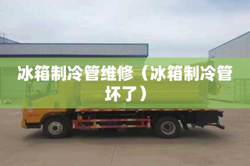 冰箱制冷管维修（冰箱制冷管坏了）