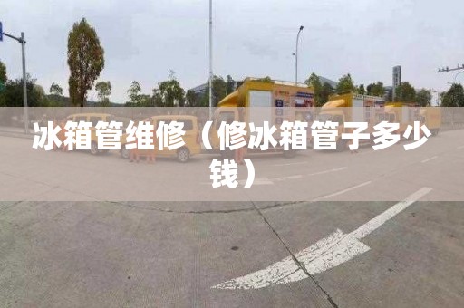 冰箱管维修（修冰箱管子多少钱）