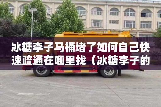 冰糖李子马桶堵了如何自己快速疏通在哪里找（冰糖李子的功效与作用）