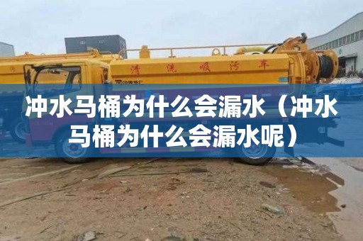 冲水马桶为什么会漏水（冲水马桶为什么会漏水呢）