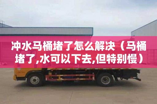 冲水马桶堵了怎么解决（马桶堵了,水可以下去,但特别慢）