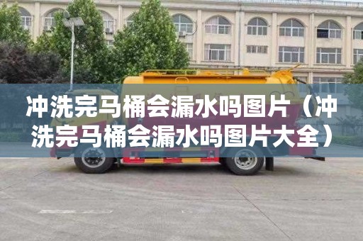 冲洗完马桶会漏水吗图片（冲洗完马桶会漏水吗图片大全）