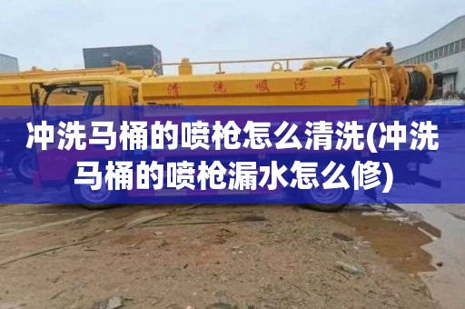 冲洗马桶的喷枪怎么清洗(冲洗马桶的喷枪漏水怎么修)