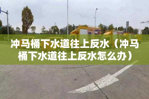 冲马桶下水道往上反水（冲马桶下水道往上反水怎么办）