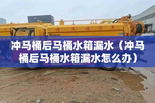 冲马桶后马桶水箱漏水（冲马桶后马桶水箱漏水怎么办）