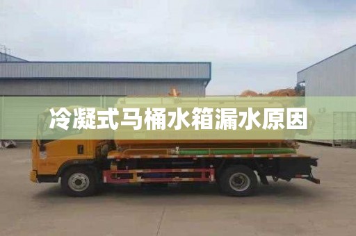 冷凝式马桶水箱漏水原因