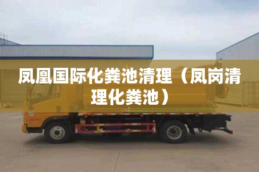 凤凰国际化粪池清理（凤岗清理化粪池）