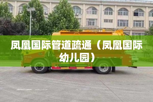 凤凰国际管道疏通（凤凰国际幼儿园）