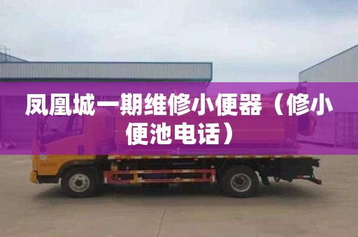 凤凰城一期维修小便器（修小便池电话）