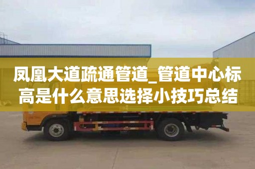 凤凰大道疏通管道_管道中心标高是什么意思选择小技巧总结