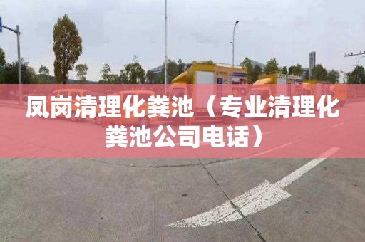 凤岗清理化粪池（专业清理化粪池公司电话）