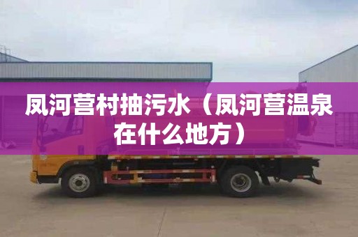 凤河营村抽污水（凤河营温泉在什么地方）