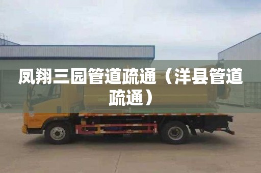 凤翔三园管道疏通（洋县管道疏通）