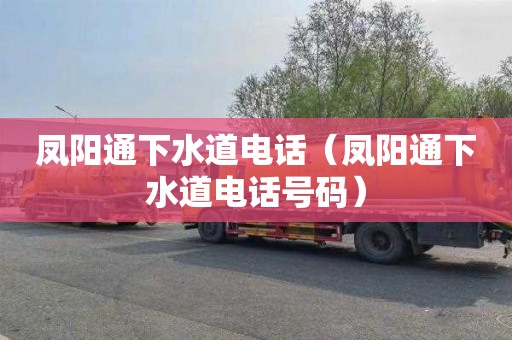 凤阳通下水道电话（凤阳通下水道电话号码）