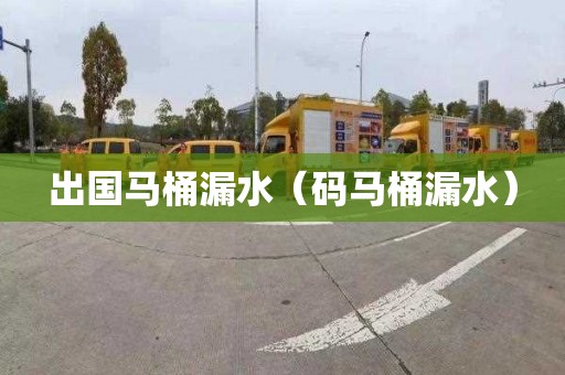出国马桶漏水（码马桶漏水）