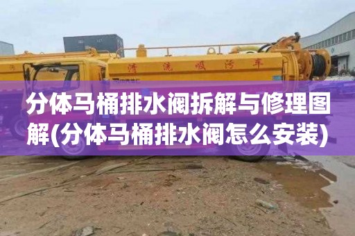分体马桶排水阀拆解与修理图解(分体马桶排水阀怎么安装)