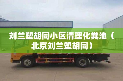 刘兰塑胡同小区清理化粪池（北京刘兰塑胡同）