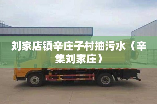刘家店镇辛庄子村抽污水（辛集刘家庄）
