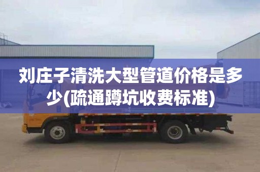 刘庄子清洗大型管道价格是多少(疏通蹲坑收费标准)
