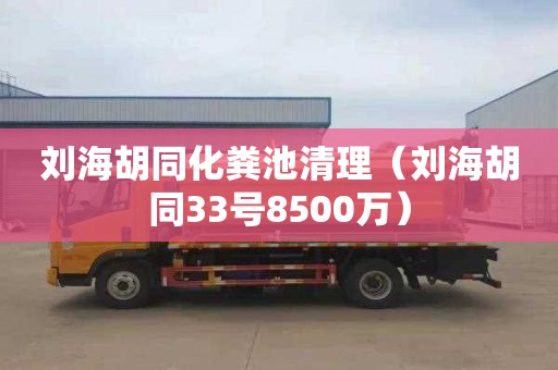 刘海胡同化粪池清理（刘海胡同33号8500万）