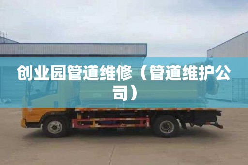创业园管道维修（管道维护公司）