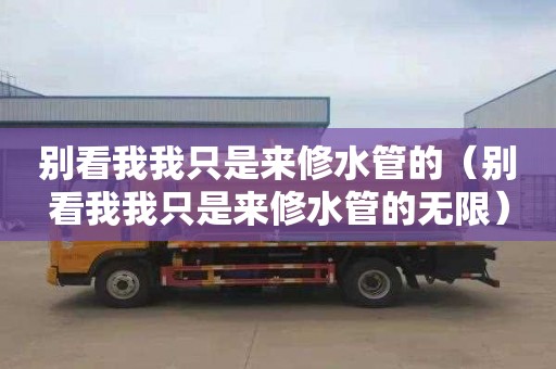 别看我我只是来修水管的（别看我我只是来修水管的无限）