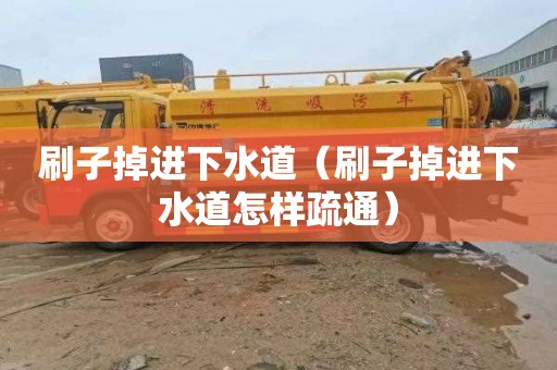刷子掉进下水道（刷子掉进下水道怎样疏通）