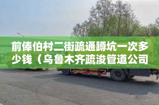 前俸伯村二街疏通蹲坑一次多少钱（乌鲁木齐疏浚管道公司）