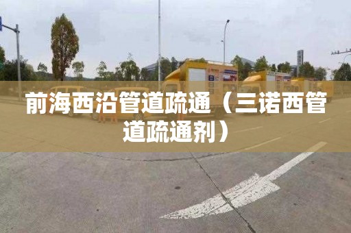 前海西沿管道疏通（三诺西管道疏通剂）