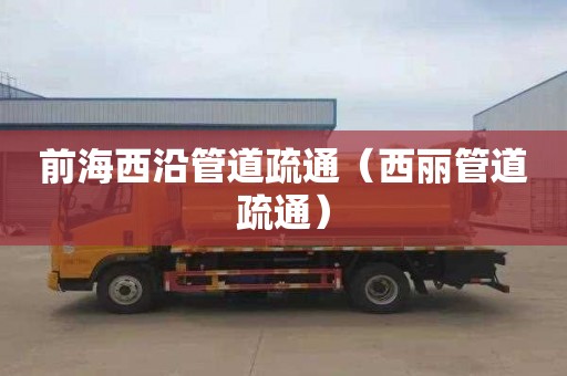 前海西沿管道疏通（西丽管道疏通）
