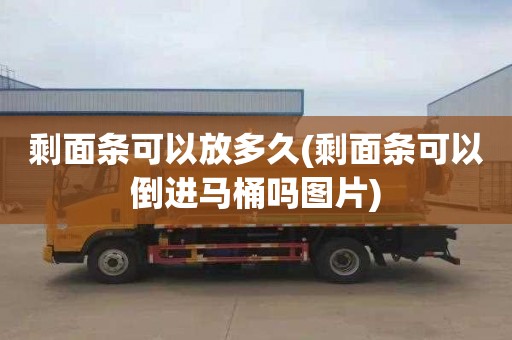 剩面条可以放多久(剩面条可以倒进马桶吗图片)