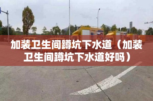 加装卫生间蹲坑下水道（加装卫生间蹲坑下水道好吗）