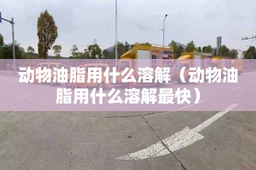 动物油脂用什么溶解（动物油脂用什么溶解最快）