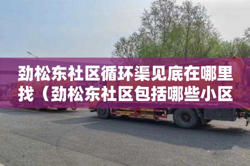 劲松东社区循环渠见底在哪里找（劲松东社区包括哪些小区）