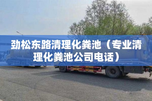 劲松东路清理化粪池（专业清理化粪池公司电话）