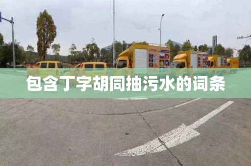 包含丁字胡同抽污水的词条