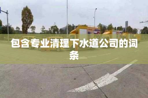 包含专业清理下水道公司的词条