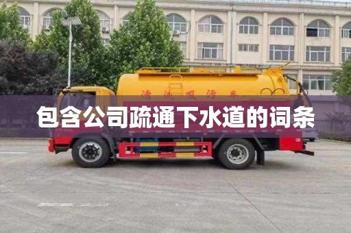 包含公司疏通下水道的词条