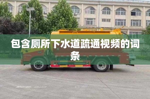 包含厕所下水道疏通视频的词条